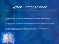 /album/andningssystemet/a6-andningssystemet-0001-jpeg/